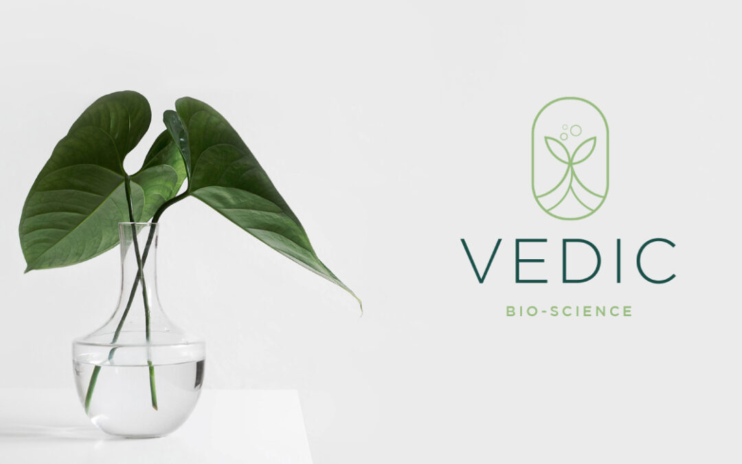 The Importance of Professional Logo Design in Bhubaneswar for Startups